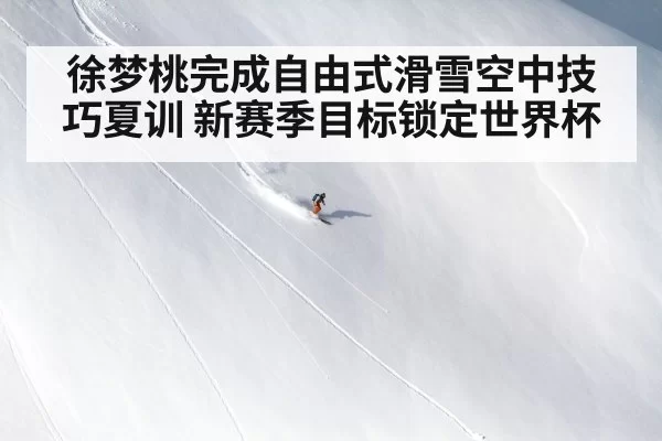 徐梦桃完成自由式滑雪空中技巧夏训 新赛季目标锁定世界杯